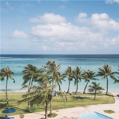 乐鱼APP手机app下载